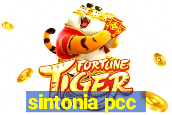 sintonia pcc